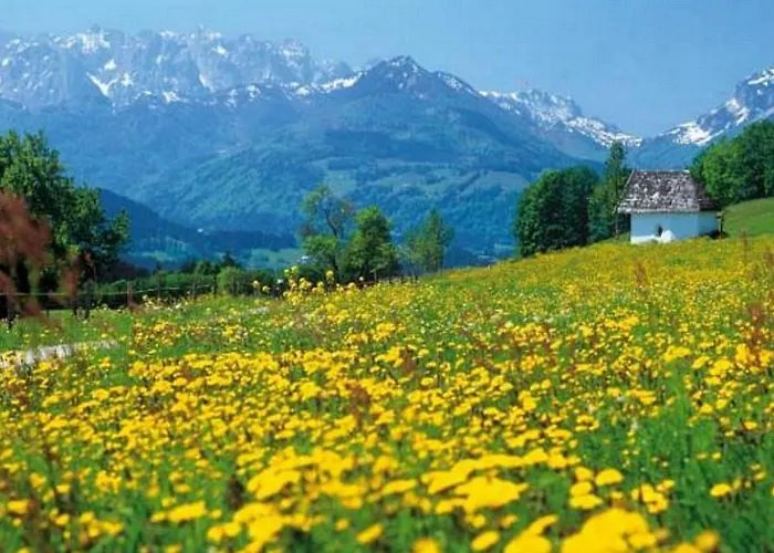 Gastehaus Flora Guest house