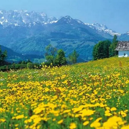Guest house Gastehaus Flora